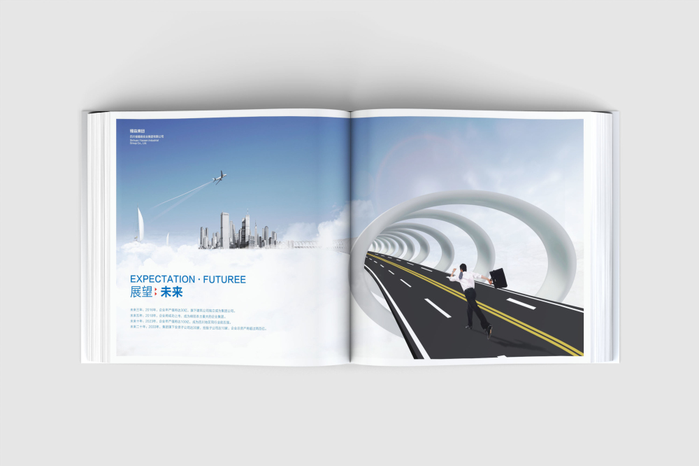 策勒县画册设计